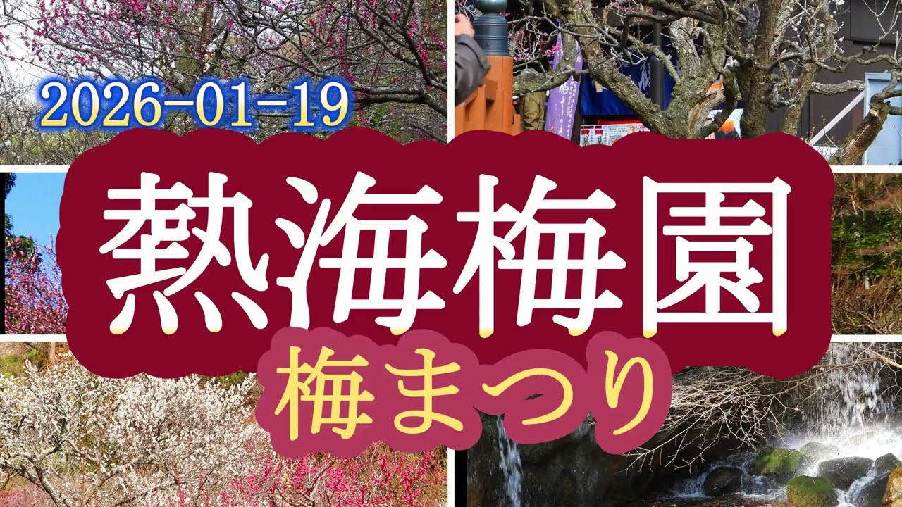 2026-01-19 熱海梅園・梅まつり