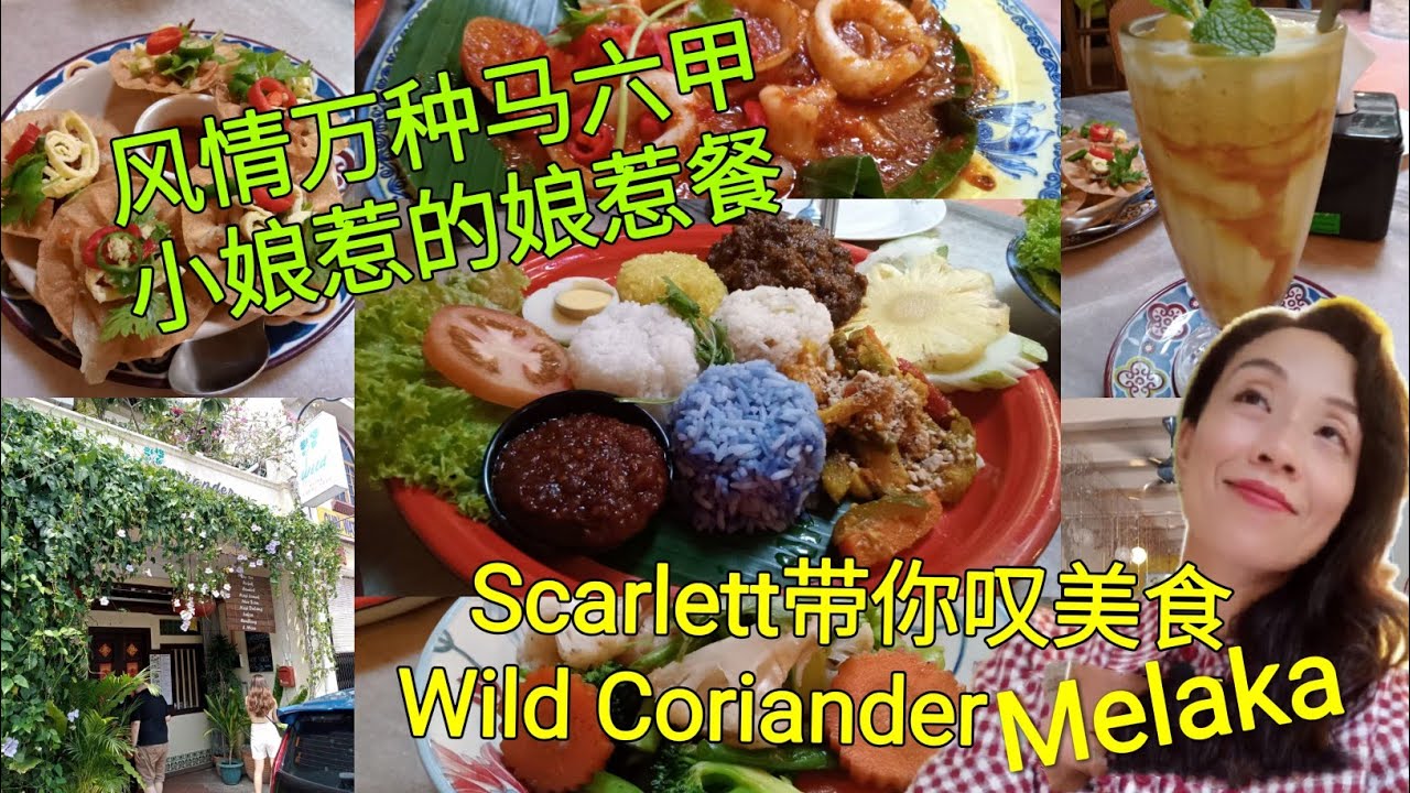 Scarlett叹美食13 -- 马六甲美食游记 (一)  Melaka  Wild Coriander ＃娘惹菜＃ 来马六甲怎能错过精致的美食娘惹餐 兰花饭 !!