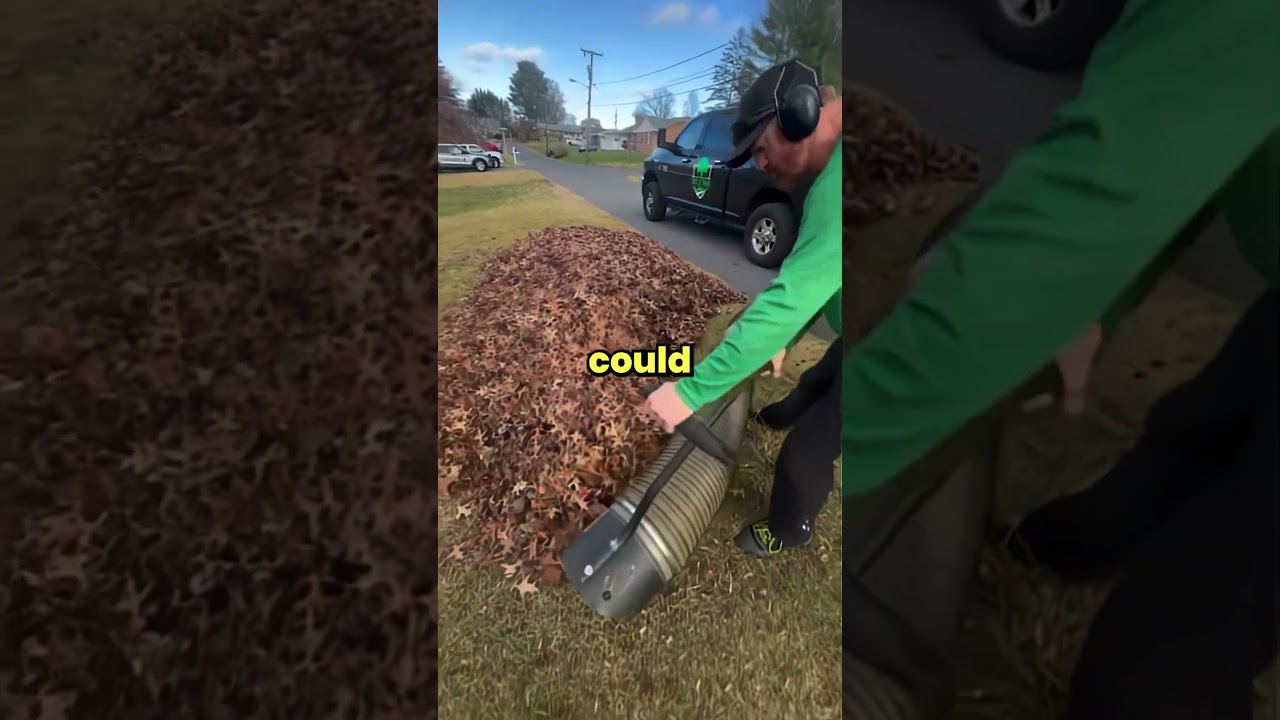 Какое самое нелепое нарушение дресс-кода вы видели? 🤔 #шорты