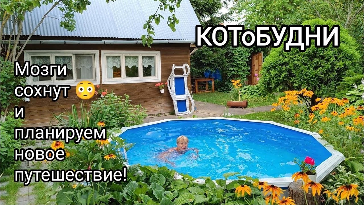 КОТоБУДНИ в первый день августа: Разжижаем засохшие мозги и планируем новое путешествие!