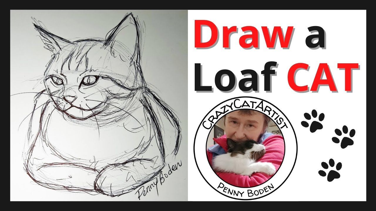 How to Draw a Loaf Cat - easy step by step beginner tutorial, laying down, front view, paws folded