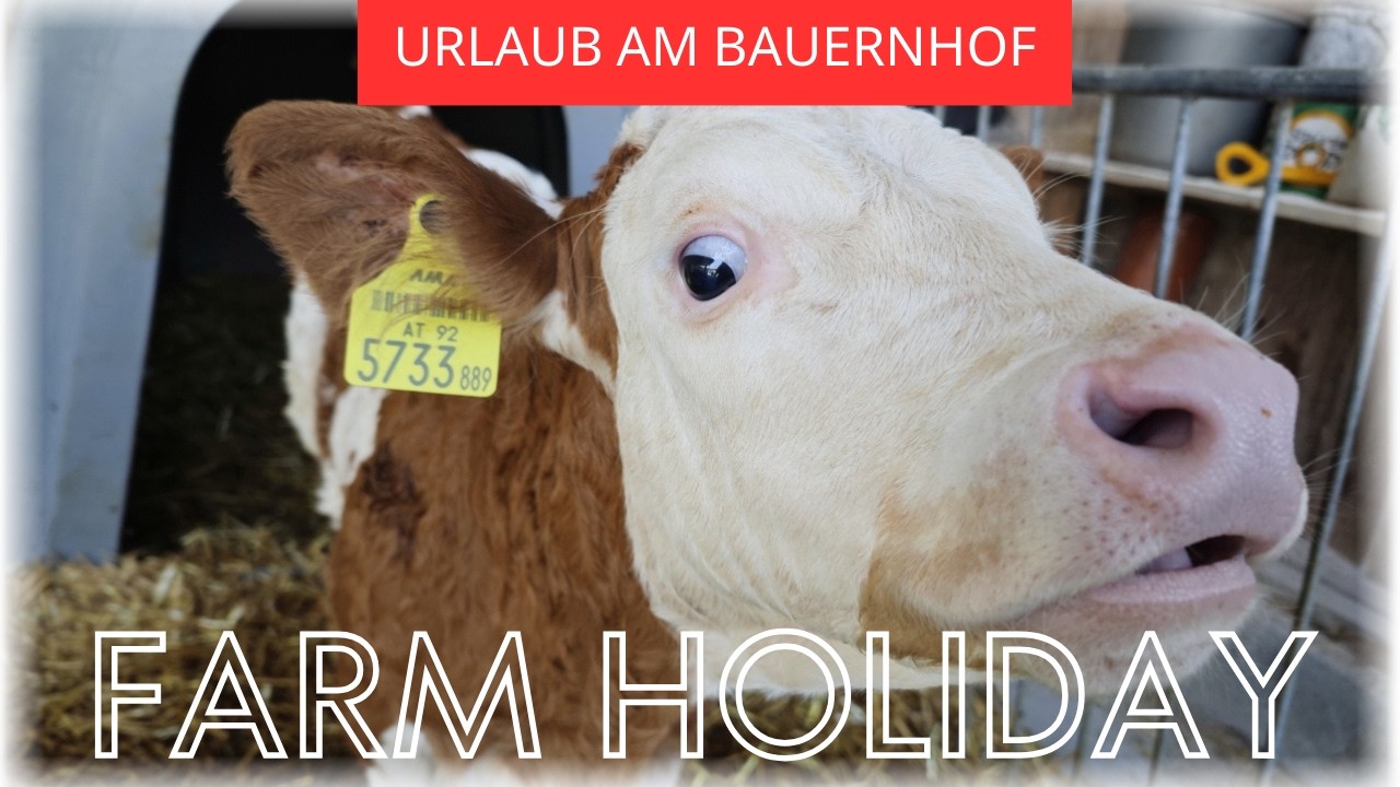 Farm Holidays in Austria 🇦🇹 Stubenberg am See - Styria