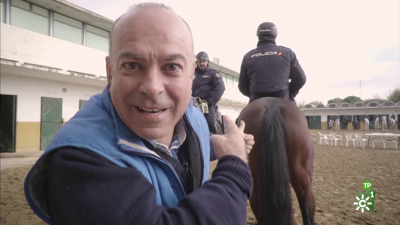 TodoCaballo | Los entrenamientos de la Unidad de Caballería de la Policía Nacional