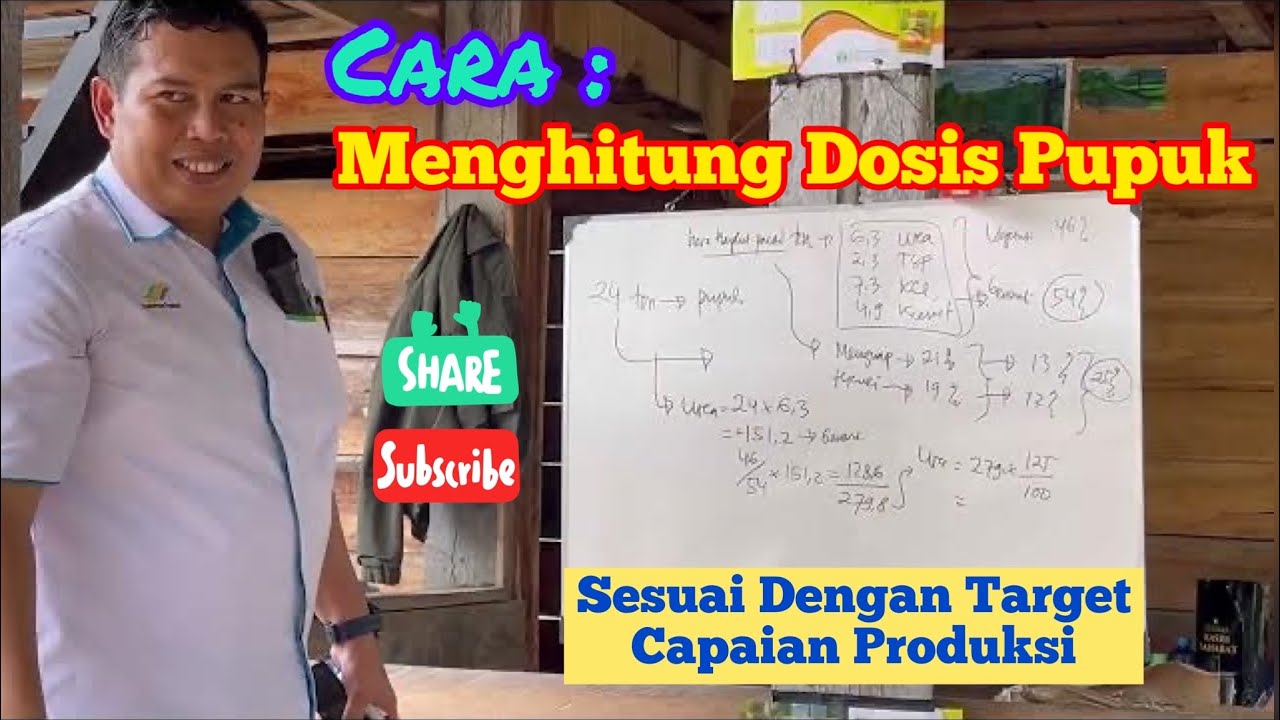 Cara Menghitung Dosis Pupuk Kelapa Sawit || By : Djend. Muhayat