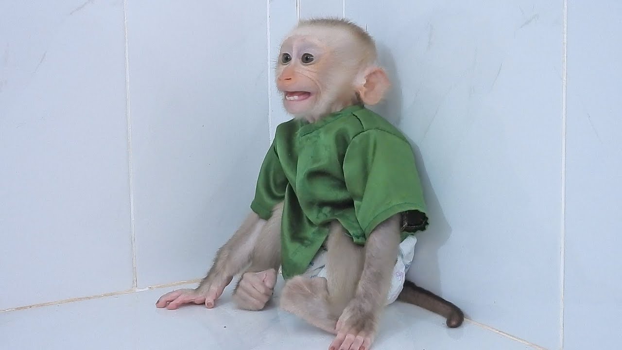 Baby Luka Calling Mommy Luna Come To Take Him For Milk