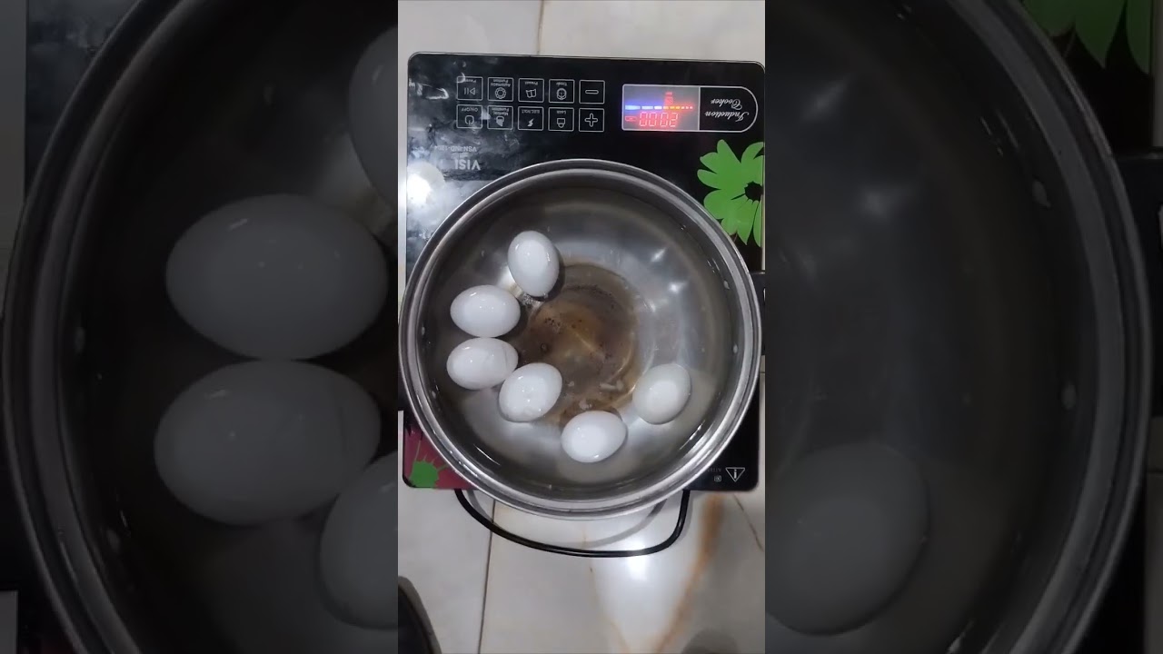 vision induction cooker || Vsn electric cooker 