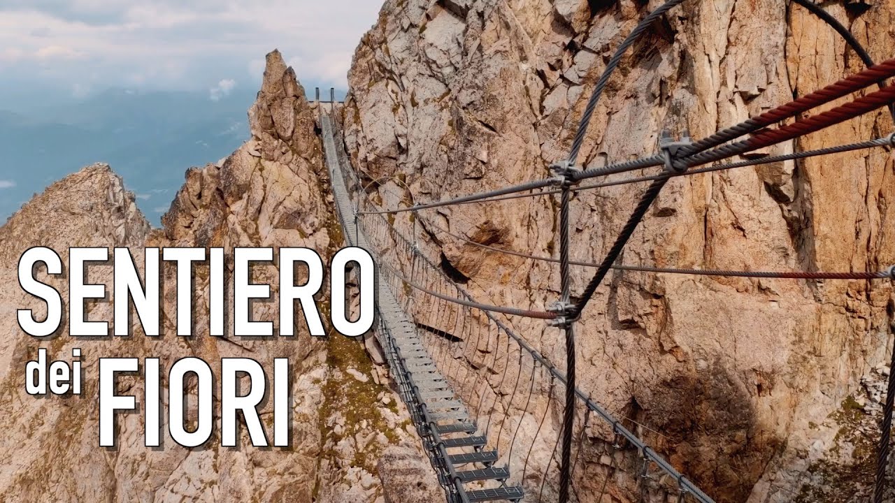 SENTIERO dei FIORI + Cima PAYER • mt 3056 slm • Gruppo dell'Adamello