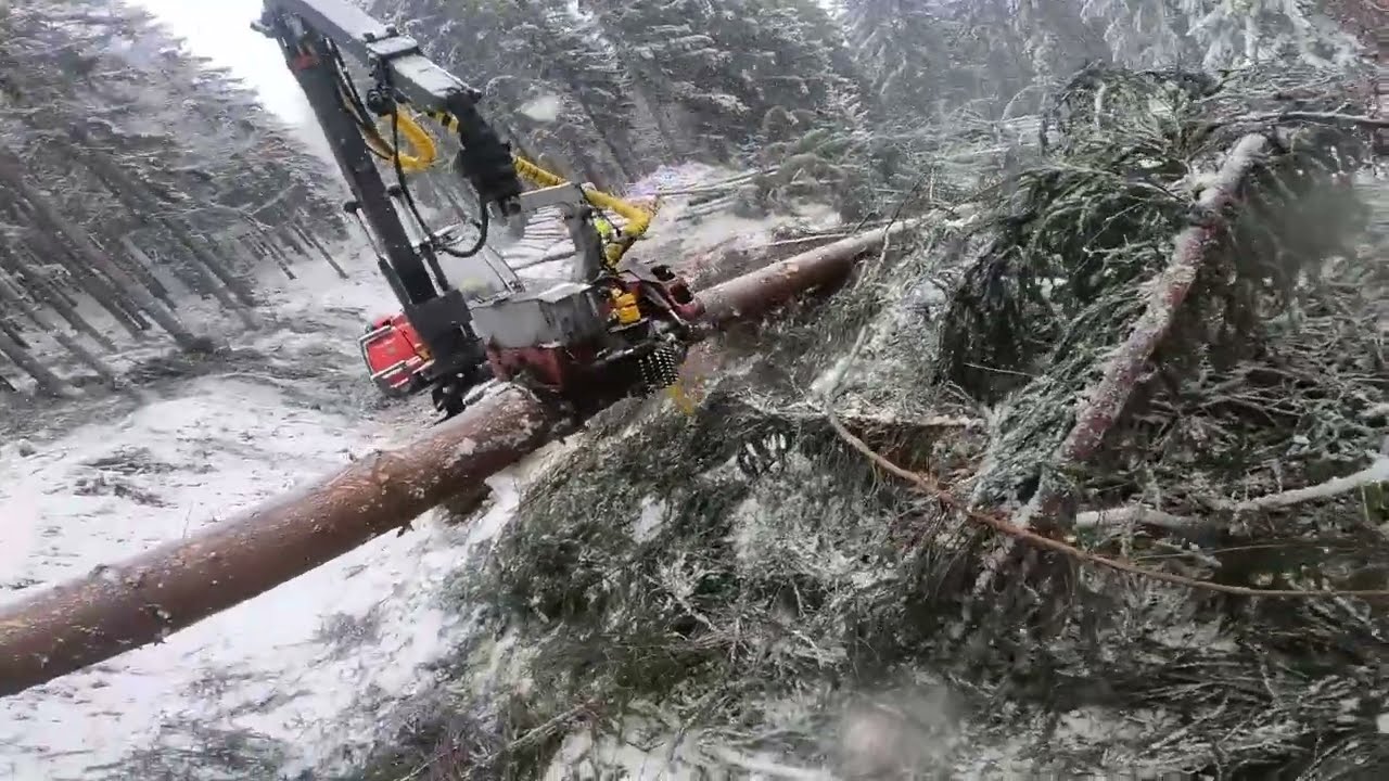LKT 81 Turbo a pásový harvestor Neuson - Stihl ms 500i a rezanie pre Harvestor s mechanickým klinom