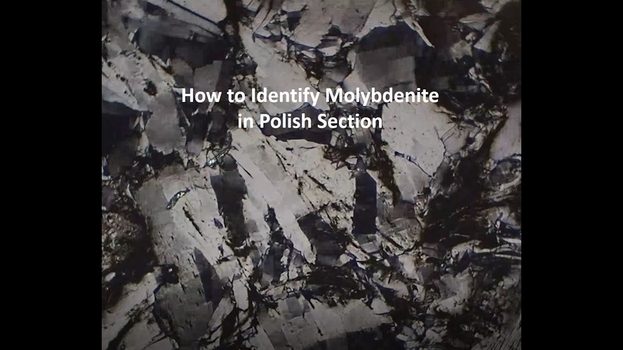 How to identify Molybdenite in Polish Section