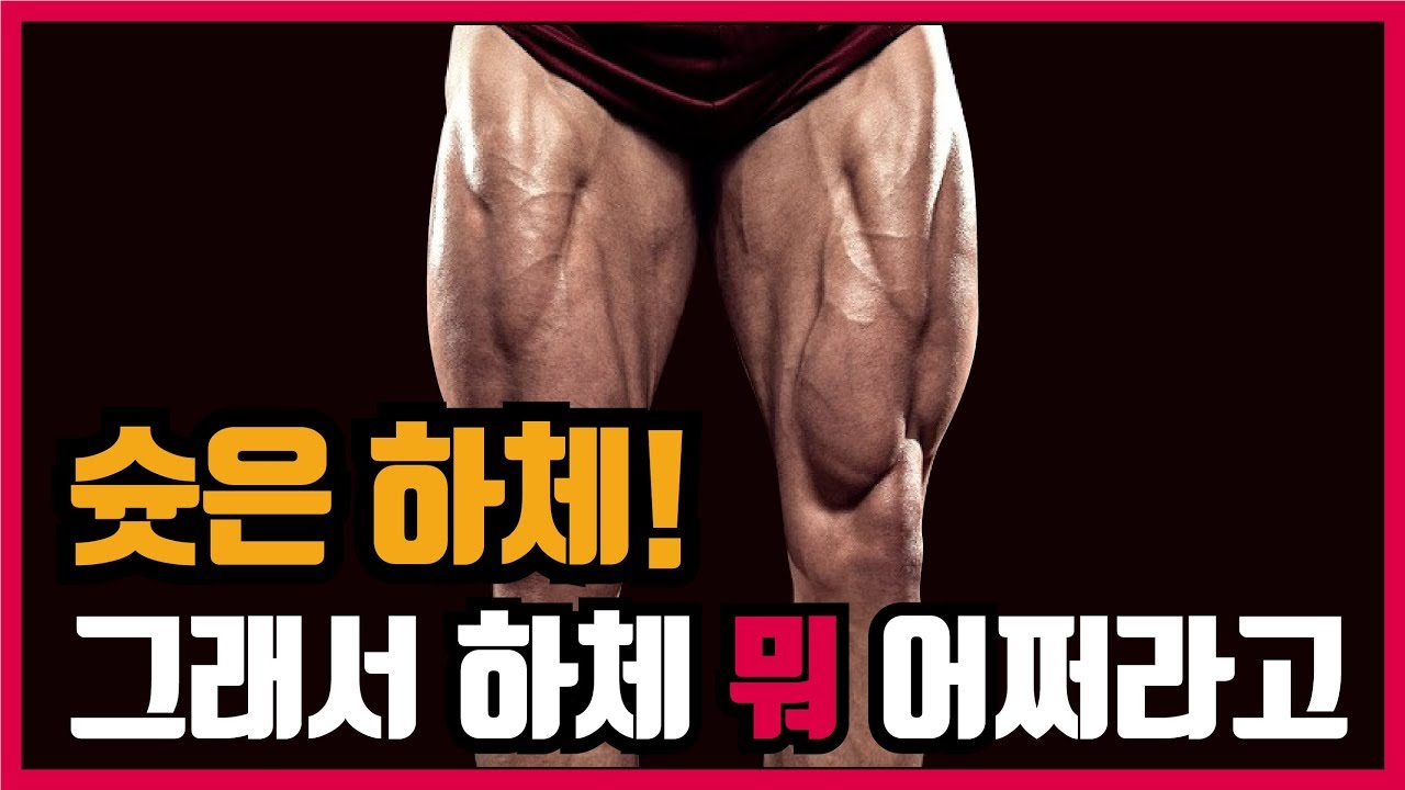 농구 슛에서 하체를 사용하는 방법! 방식과 타이밍