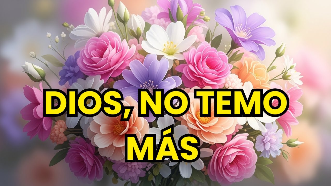 DIOS SANA TU CORAZÓN / MEJORES ALABANZAS CRISTIANAS PARA CUANDO EL DOLOR ES MUY FUERTE