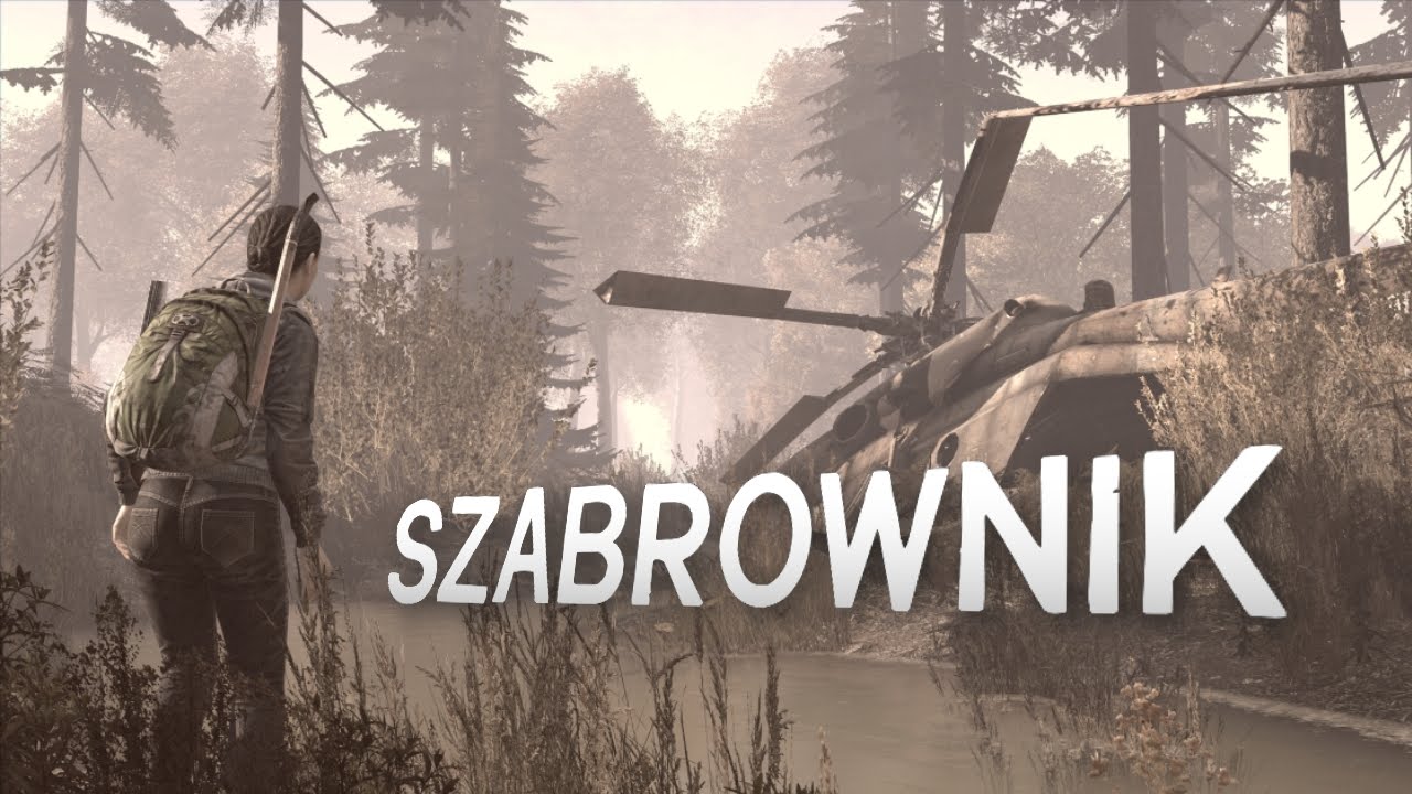 DayZ (PL) #6 - Szabrownik (Gameplay PL)
