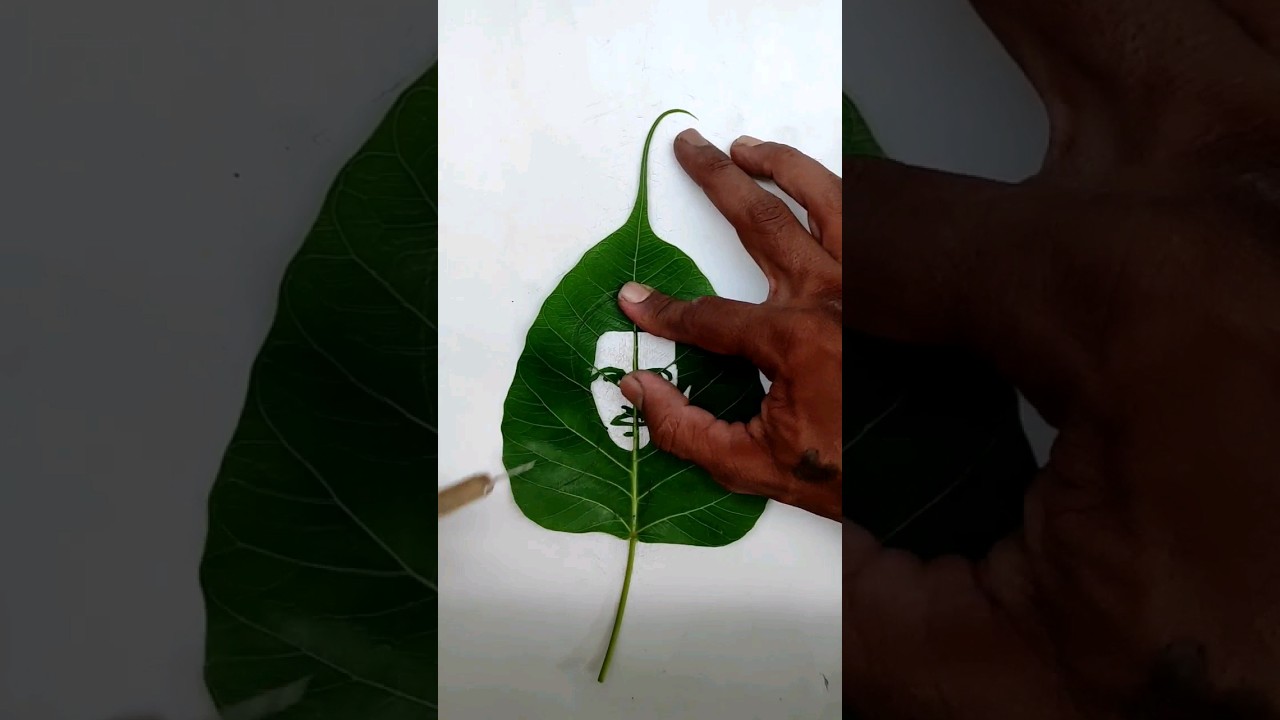 Vibhav Roy On Leaf Carving Art | Leaf Art | #shorts #short #youtubeshorts