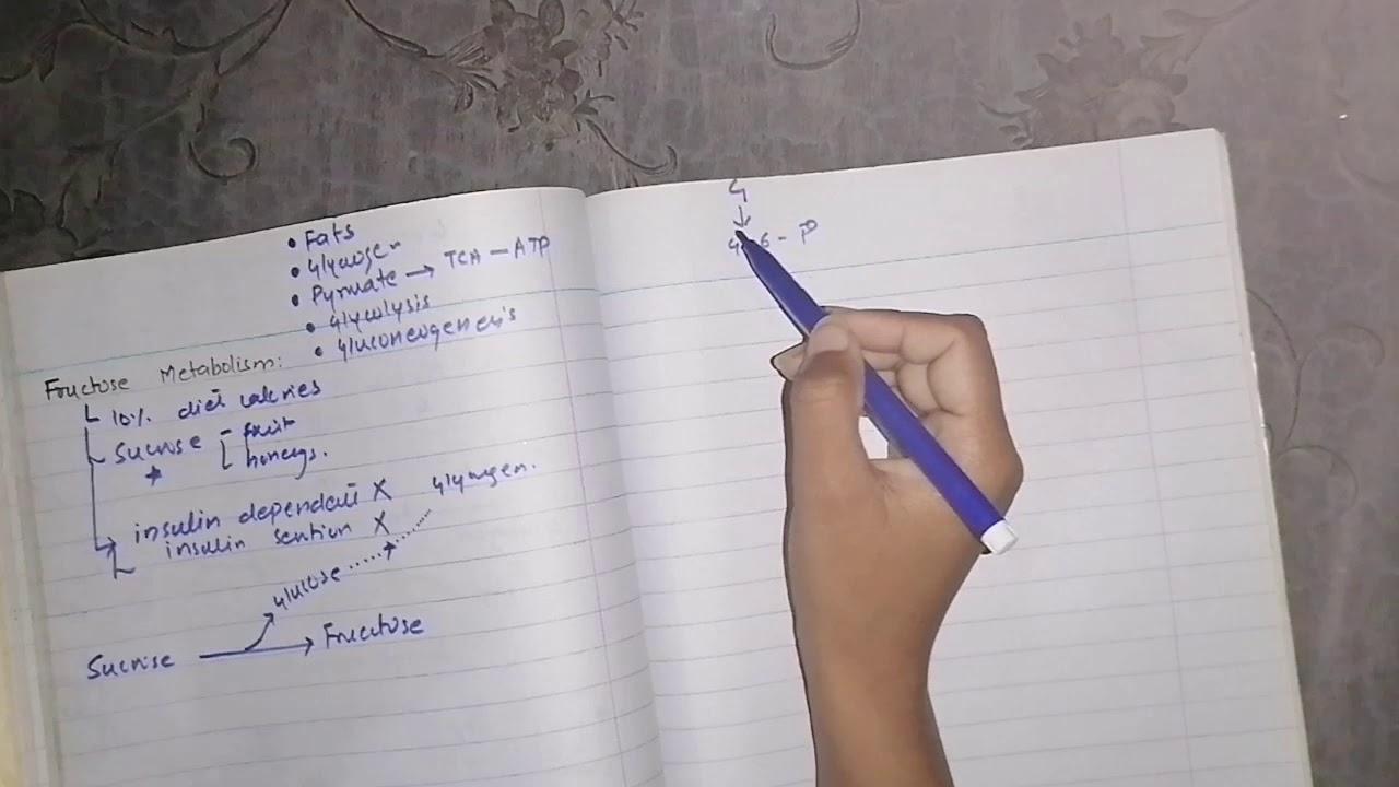 Fructose metabolism #carbs_chemistry #HFI
