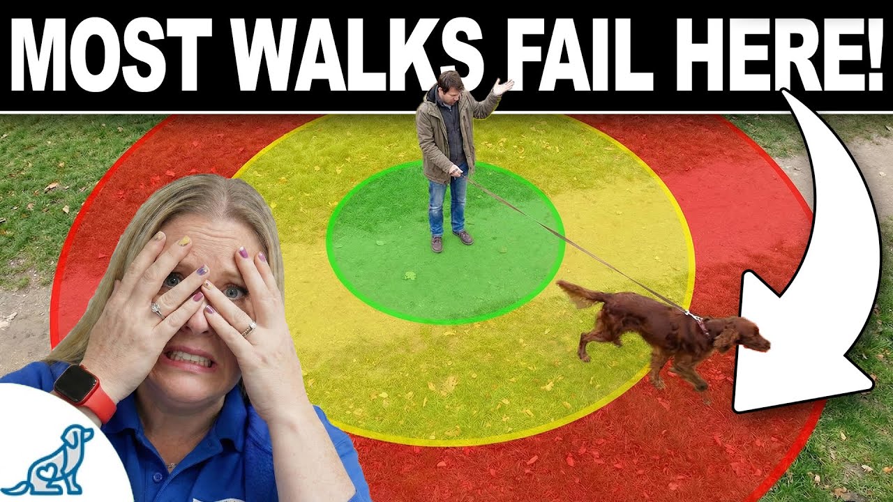 Forget Your Traditional Leash Walking Training. 