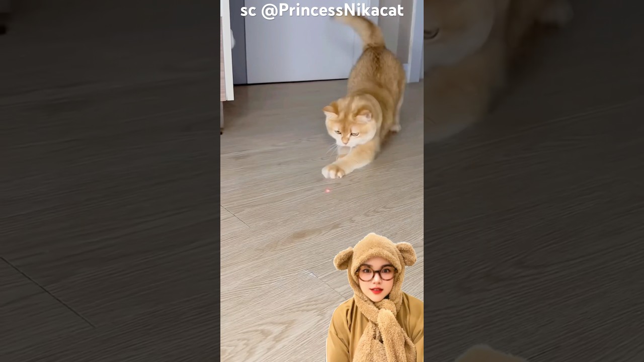 cari titik merah‼️PrincessNikacat