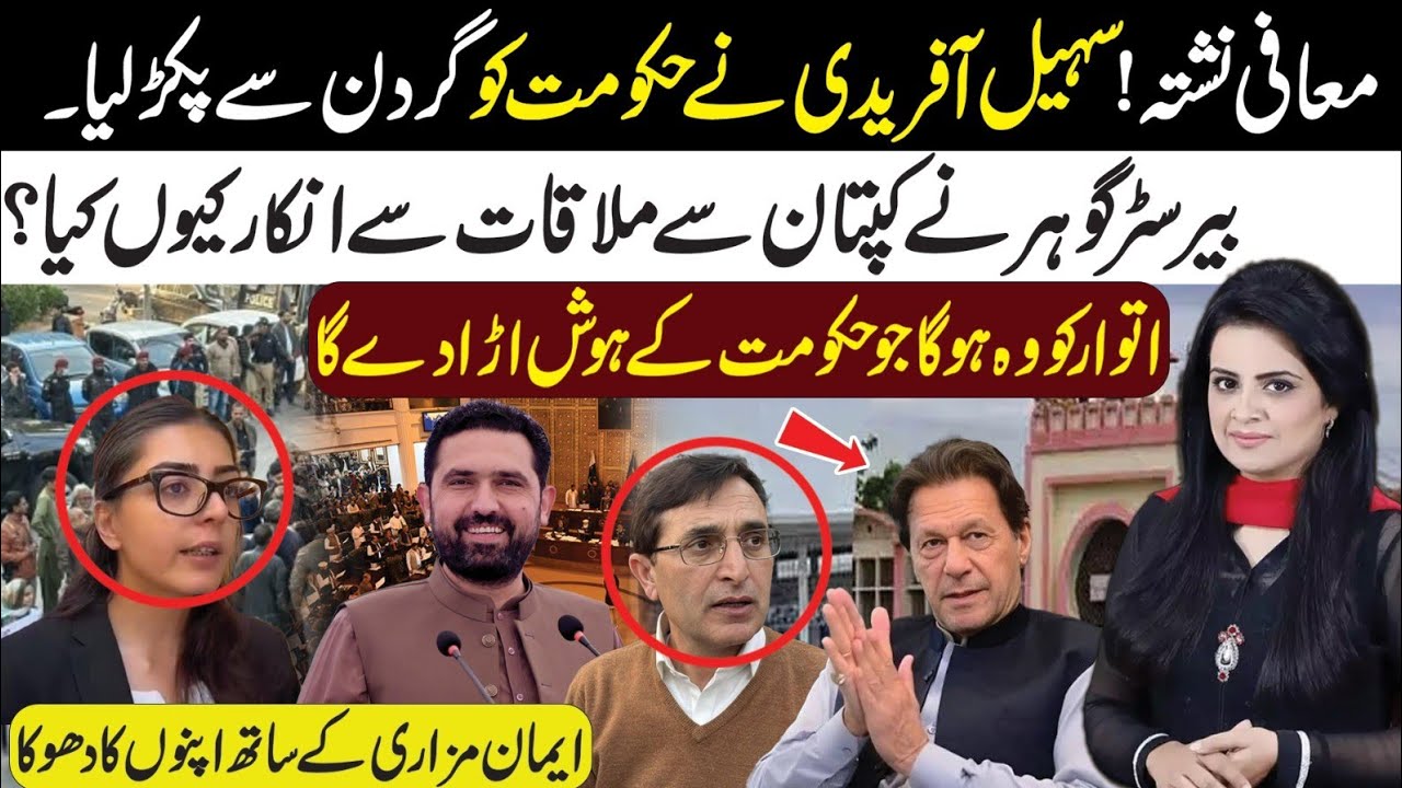 No Maffi! Sohail Afridi Snubbed Govt l Why Barrister Gohar Not Meet Imran Khan l Important Sunday
