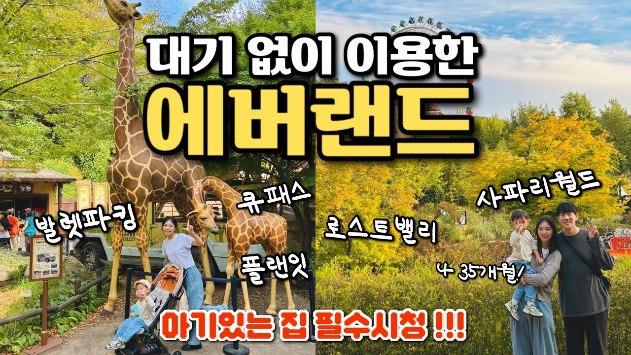 에버랜드 꿀팁 , 36개월 미만 아기랑｜큐패스 , 발렛파킹 , 로스트밸리 , 플랜잇 , 사파리월드