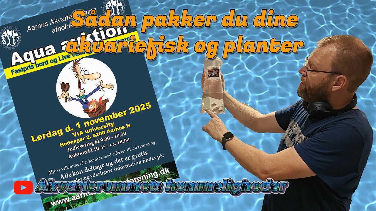 Sådan pakker du dine akvariefisk og planter