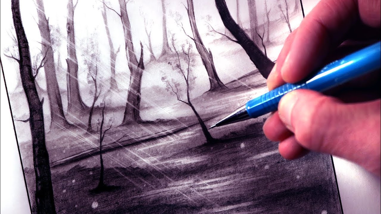 How to Draw a Forest