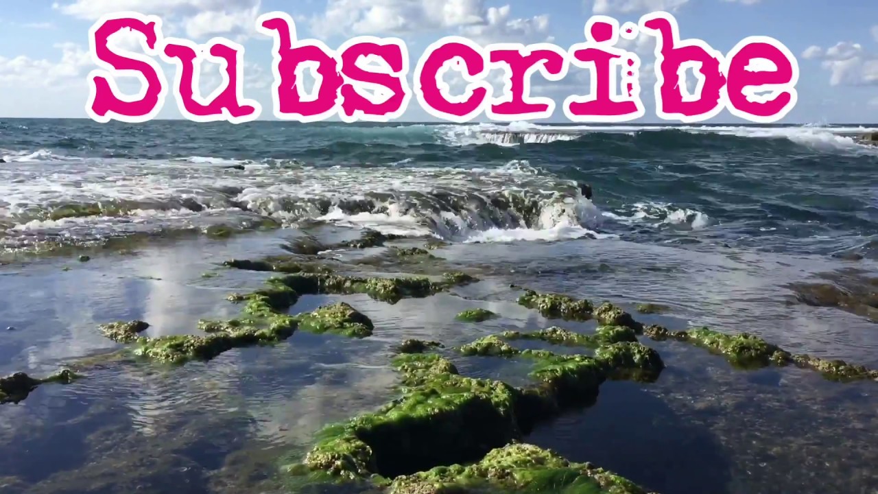 february 2017 Atlit , Dor Beach , Horvat Qarta ISRAEL
