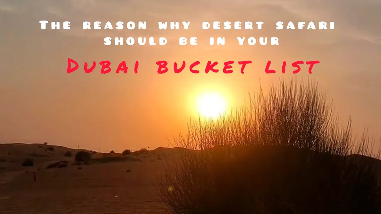 Dive into the exhilarating Dubai desert adventure! 🐪 🏜️