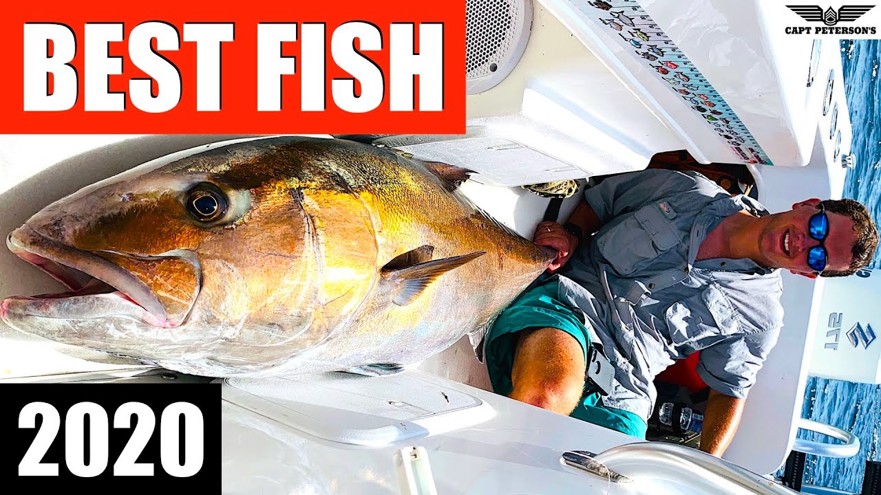 Captain Peterson's Biggest Fish 2020