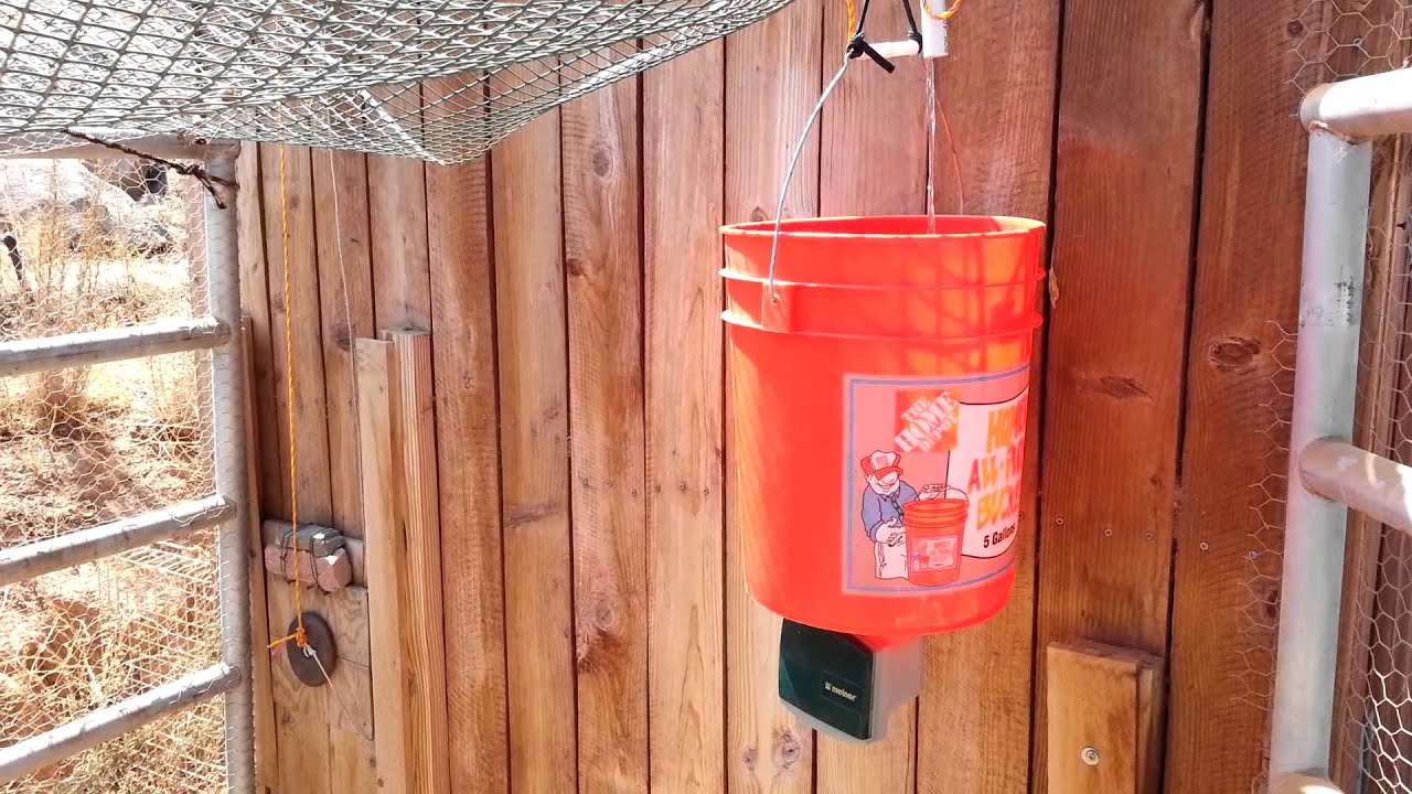 Automatic water powered chicken coop door opener