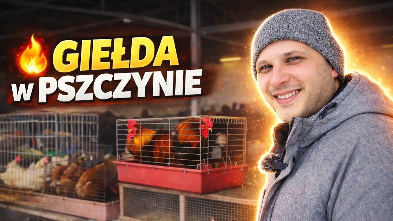 Giełda w Pszczynie Luty 2026
