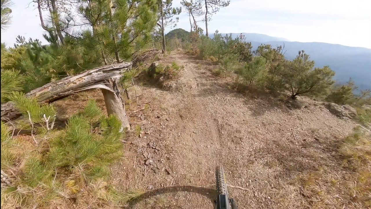 Rai Lunga - Bracco Trail Center | Deiva Marina