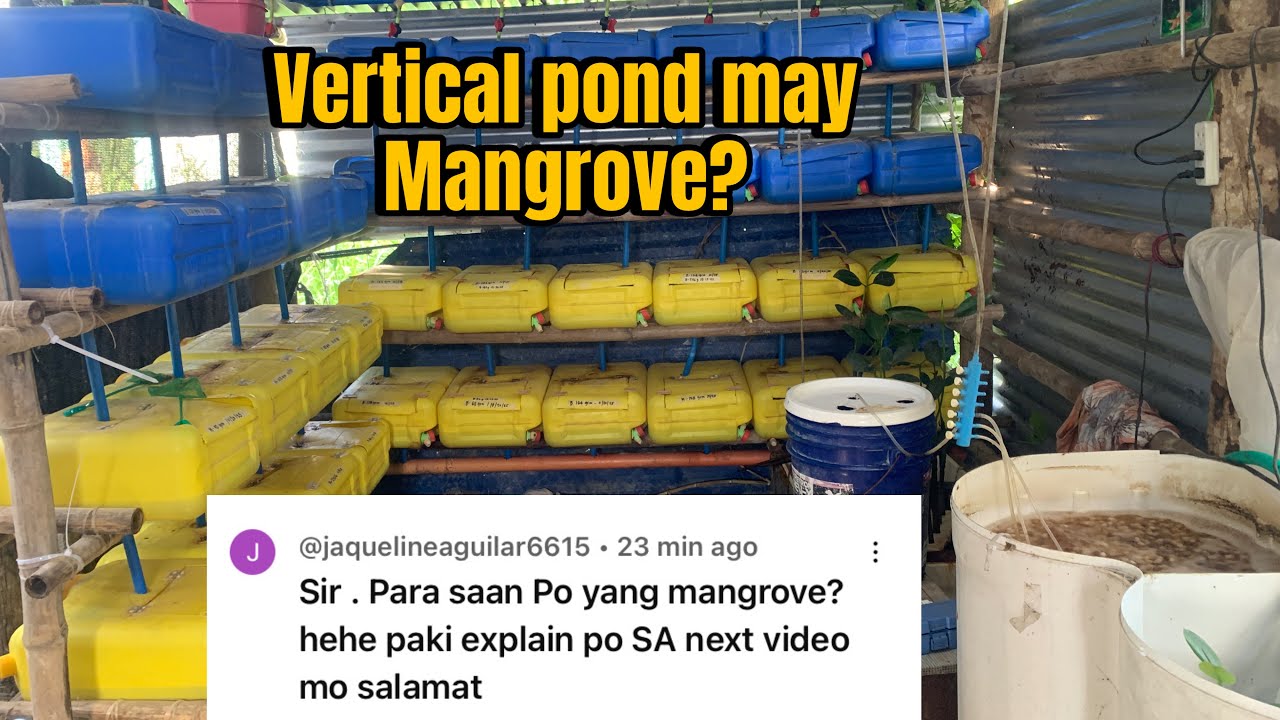 Nakakatulong nga ba ang Bakawan sa Vertical Pon | Farming Daily Vlog