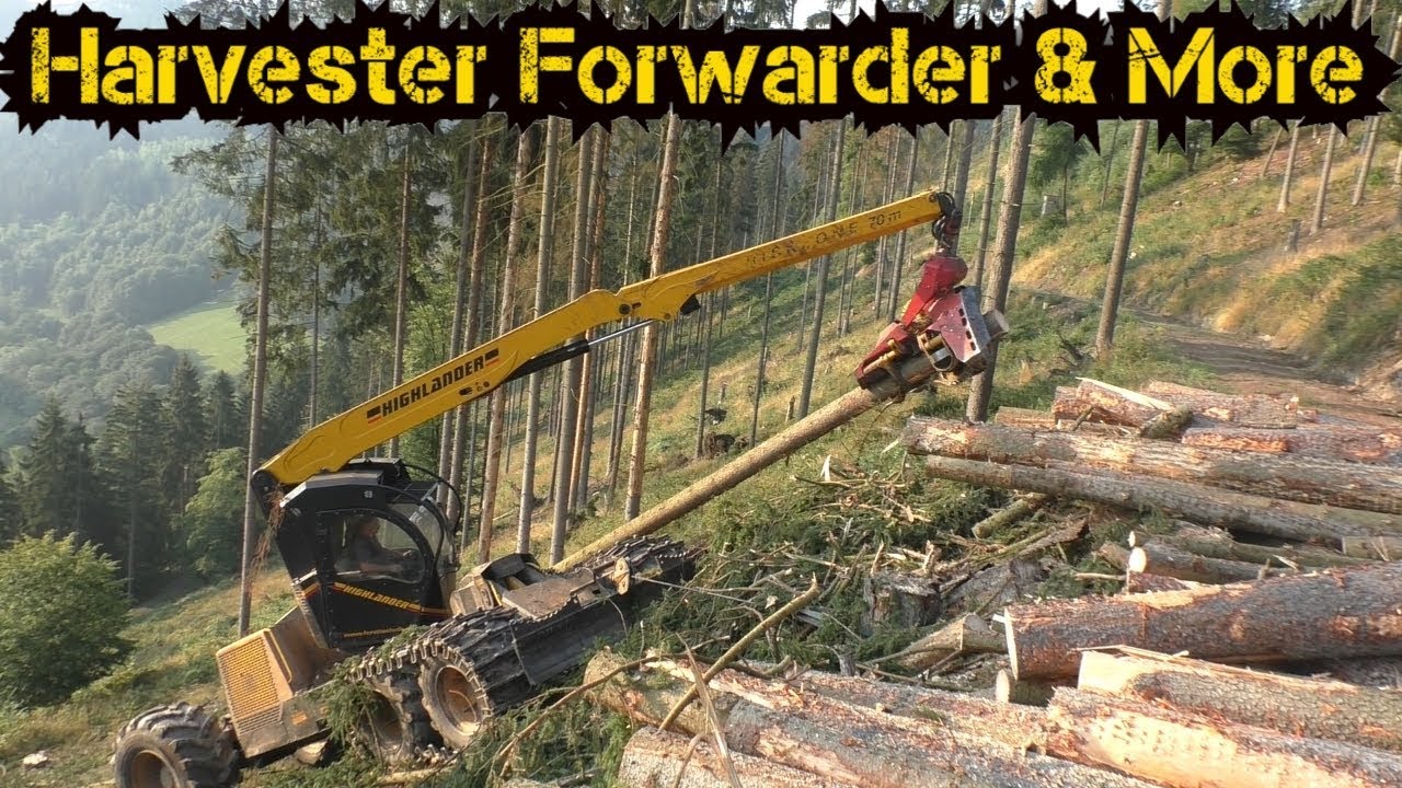 Konrad Highlander 6W & Woody H61