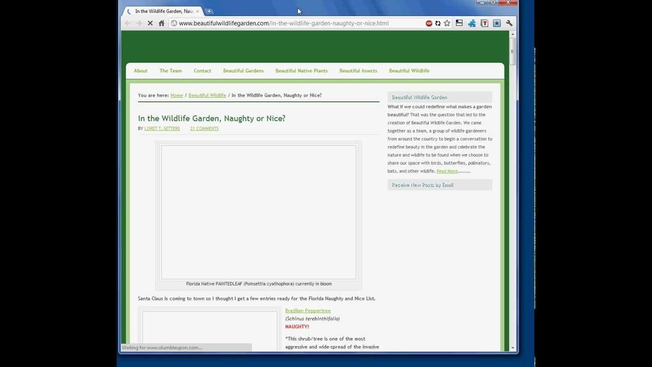 BacklinkRefresh Software for Harvesting Backlinks by Keyword