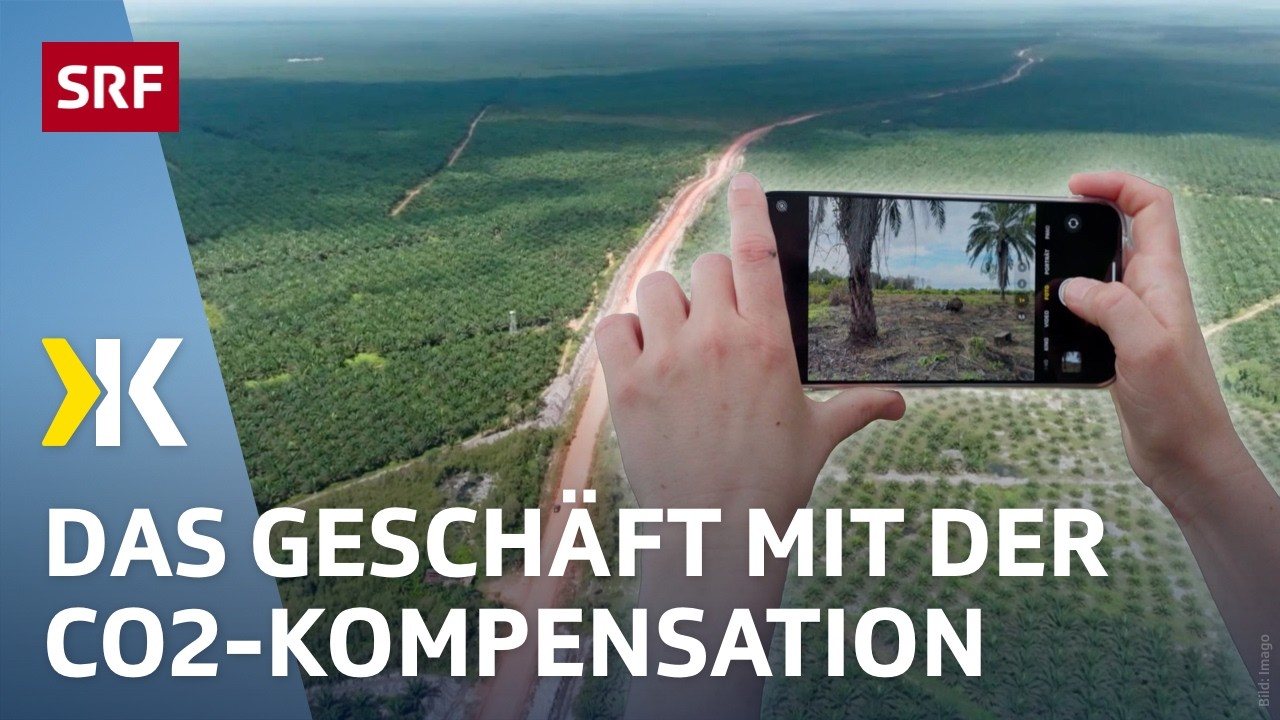 Regenw&auml;lder in Gefahr: Brandrodung trotz Umweltschutz | 2025 | Kassensturz | SRF
