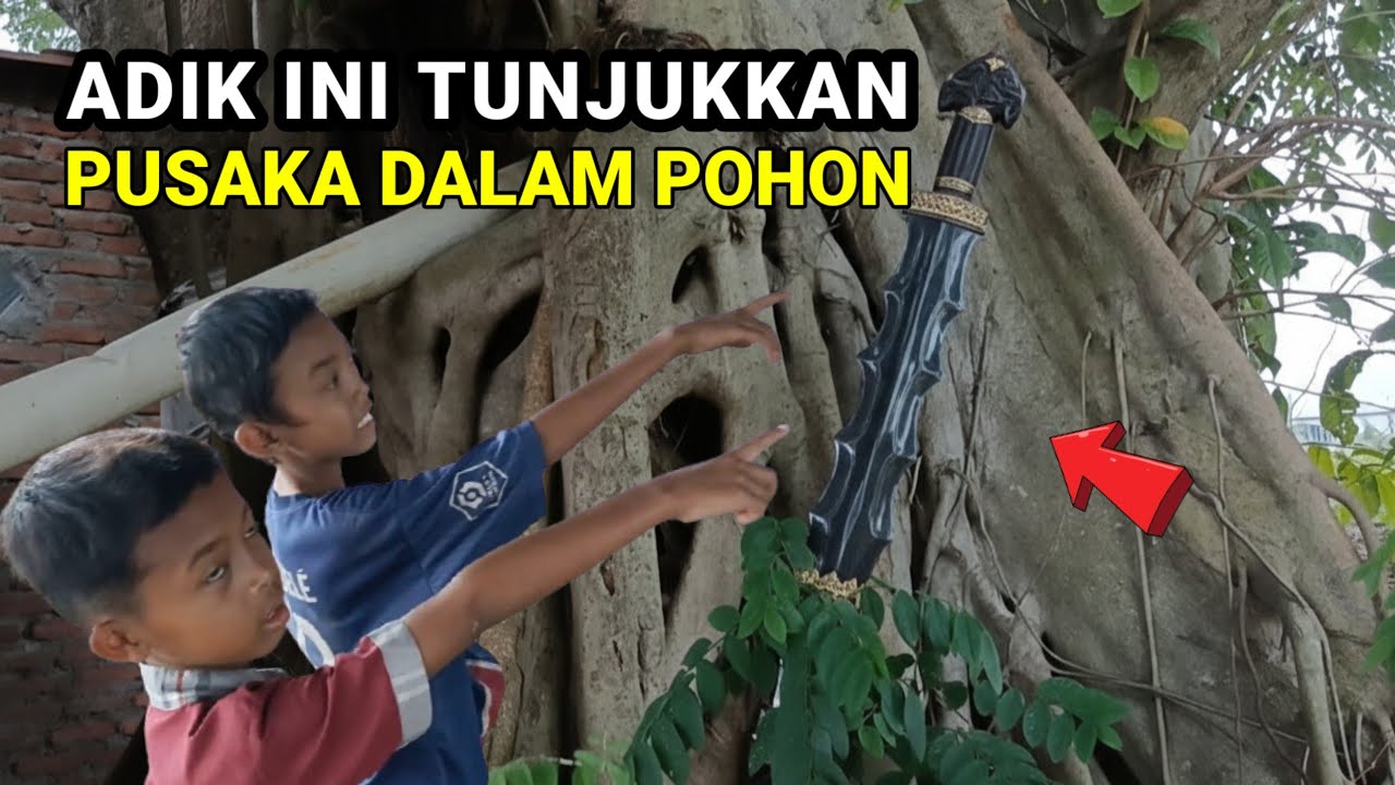 Yang Sedang Viral Adik Ini Tunjukkan Pusaka Dalam Pohon Yang Dihuni Seekor Ular Besar 
