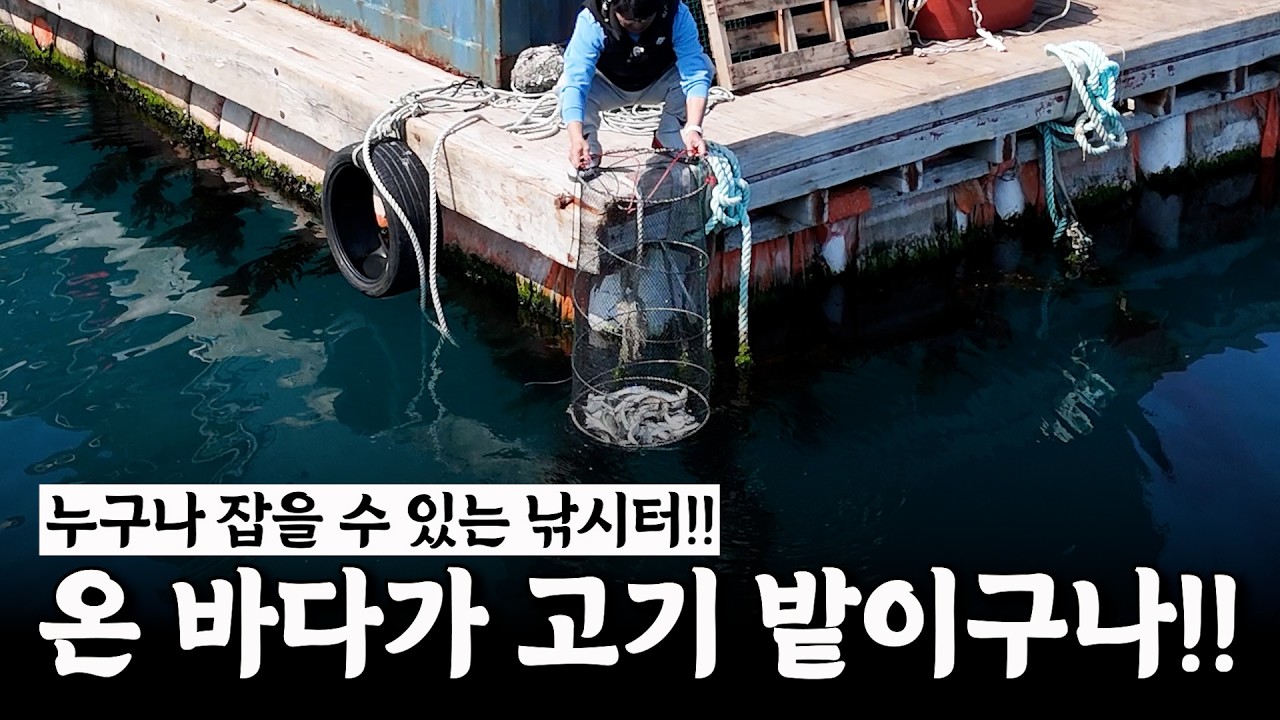 해상 좌대 낚시터에서 엄청난 고기떼를 만났습니다!! [박과장TV]