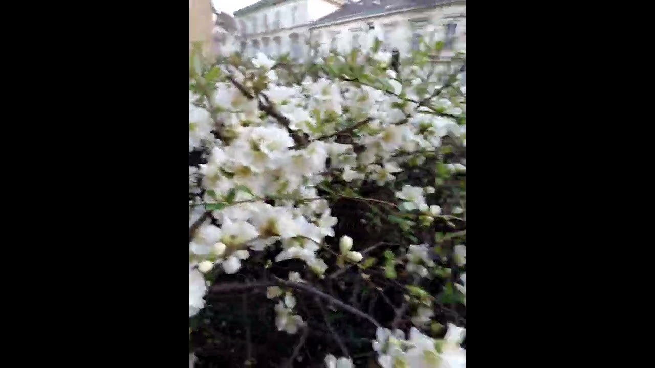 Будапешт 27.03.22(2)