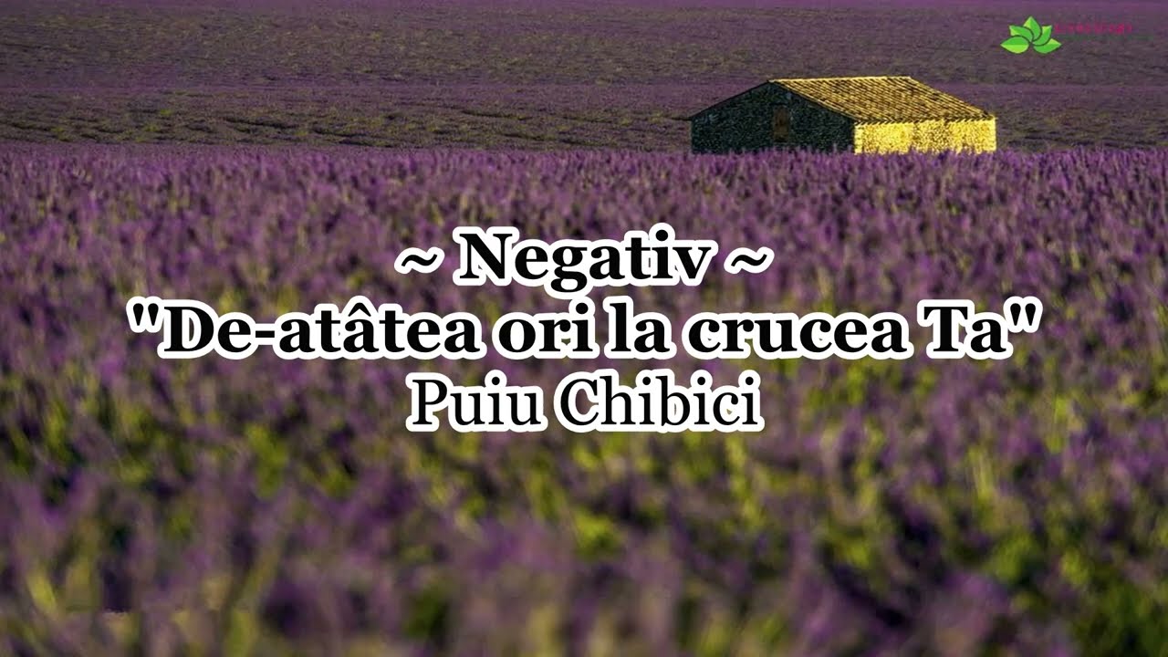 Negativ - De-atâtea ori la crucea Ta - Puiu Chibici [NOU 2022]
