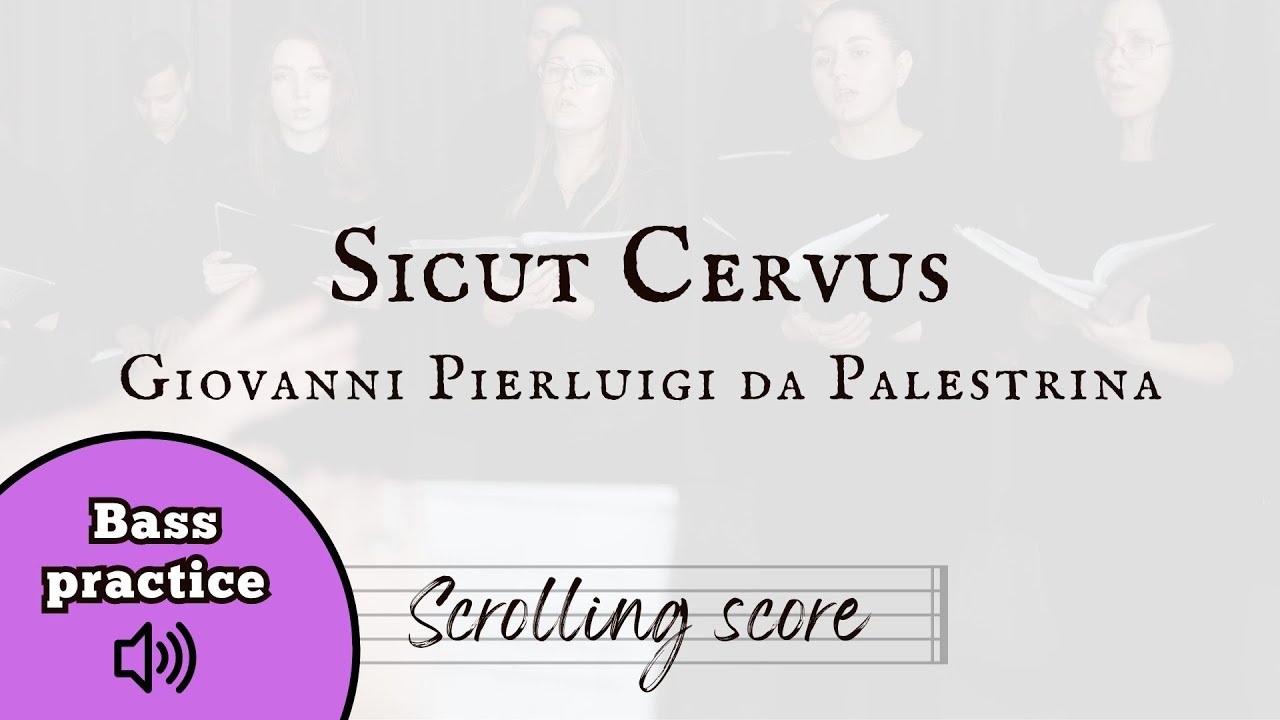 Sicut Cervus - Palestrina - Bass practice with score