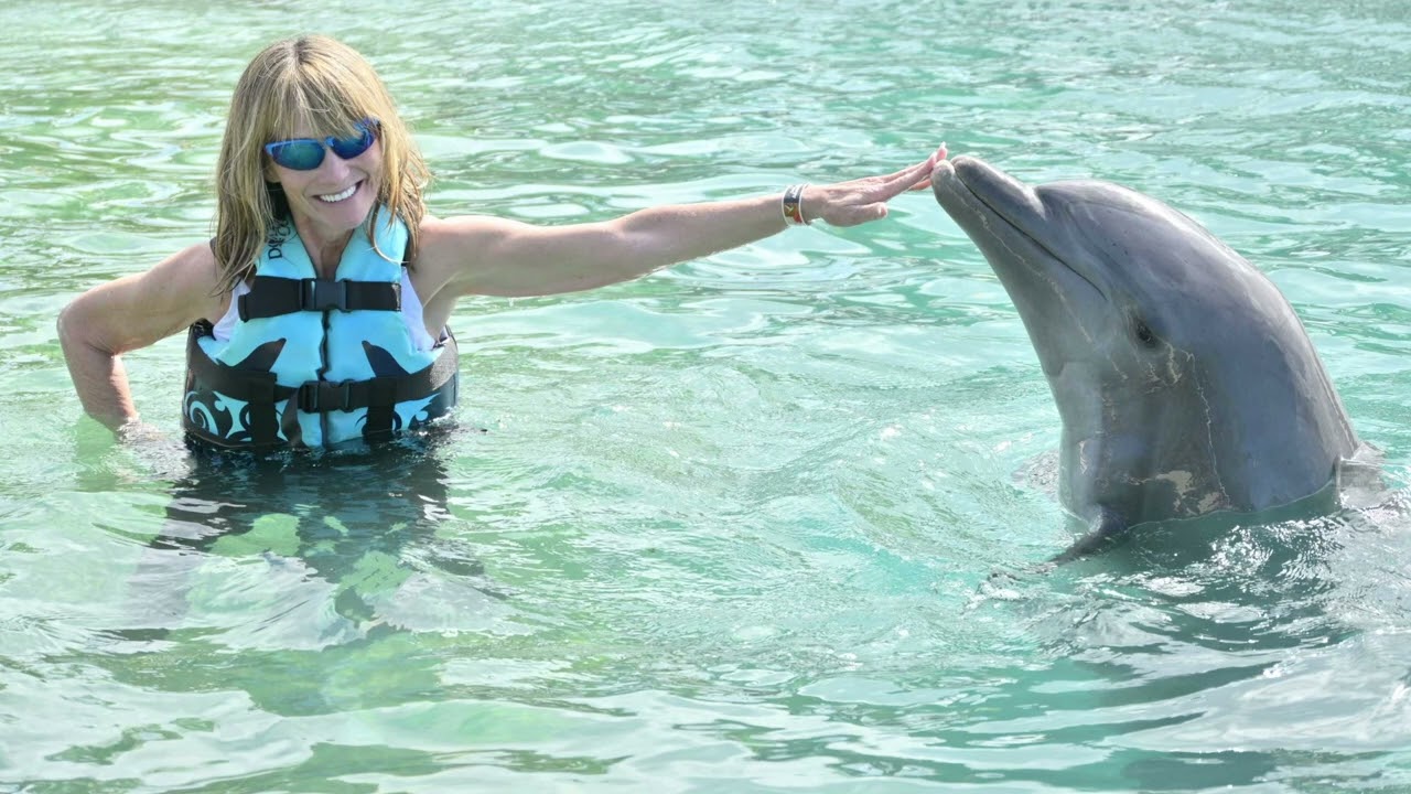 Grand Cayman Swim with Dolphins