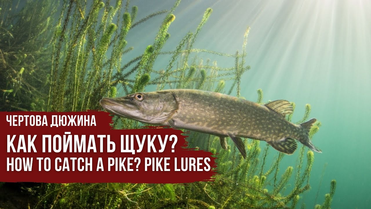 Щука \ Чертова дюжина \ Сезон #4