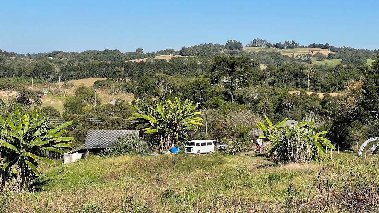 CHÁCARA 5.300m² | CASA 3 QUARTOS | POMAR FRUTAS | TANQUE | ÁREA LAVOURA | R$ 270mil