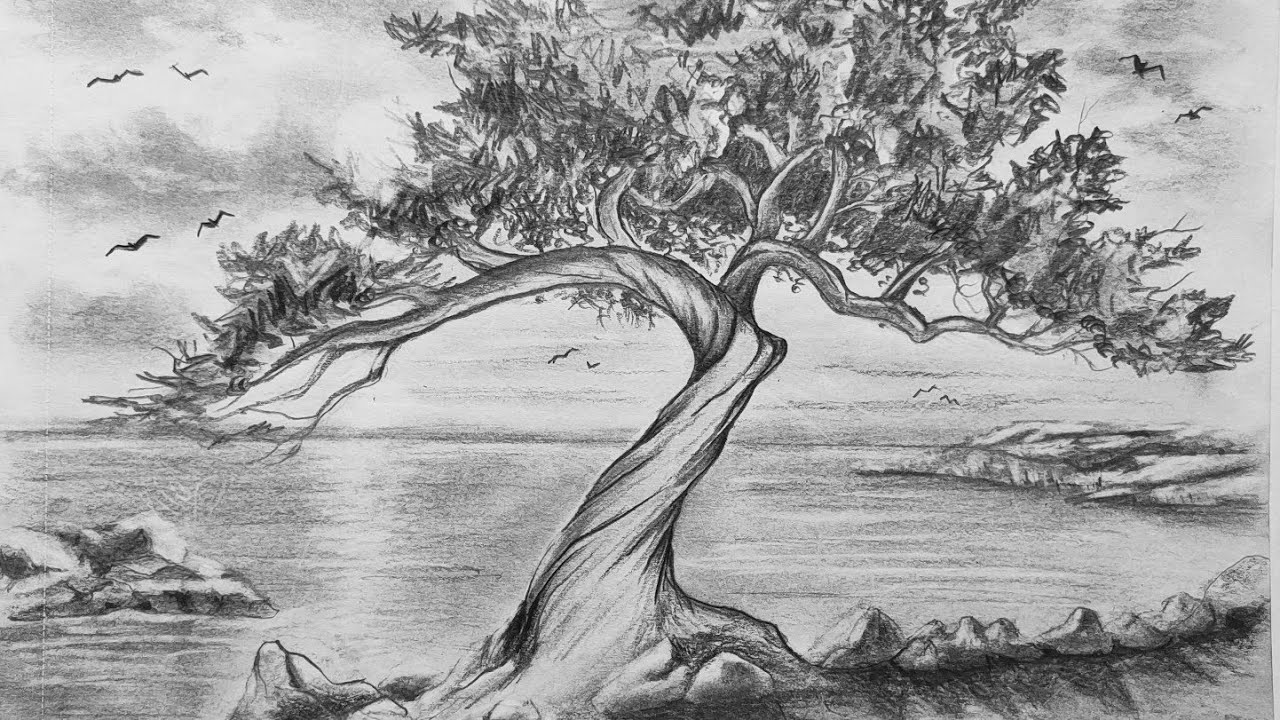 Daily challenge#26/Pencil drawing of Nature/How to draw Nature