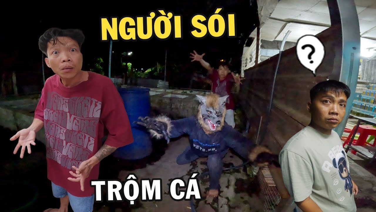 Người Sói đột nhập vào trại cá Anh Nhí Betta và cái kết - Trại Cá Bất Ổn