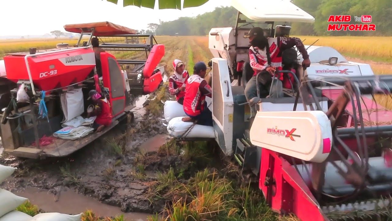 KOMBI BIMO XTREME VS KUBOTA DC93 #akibmutohar