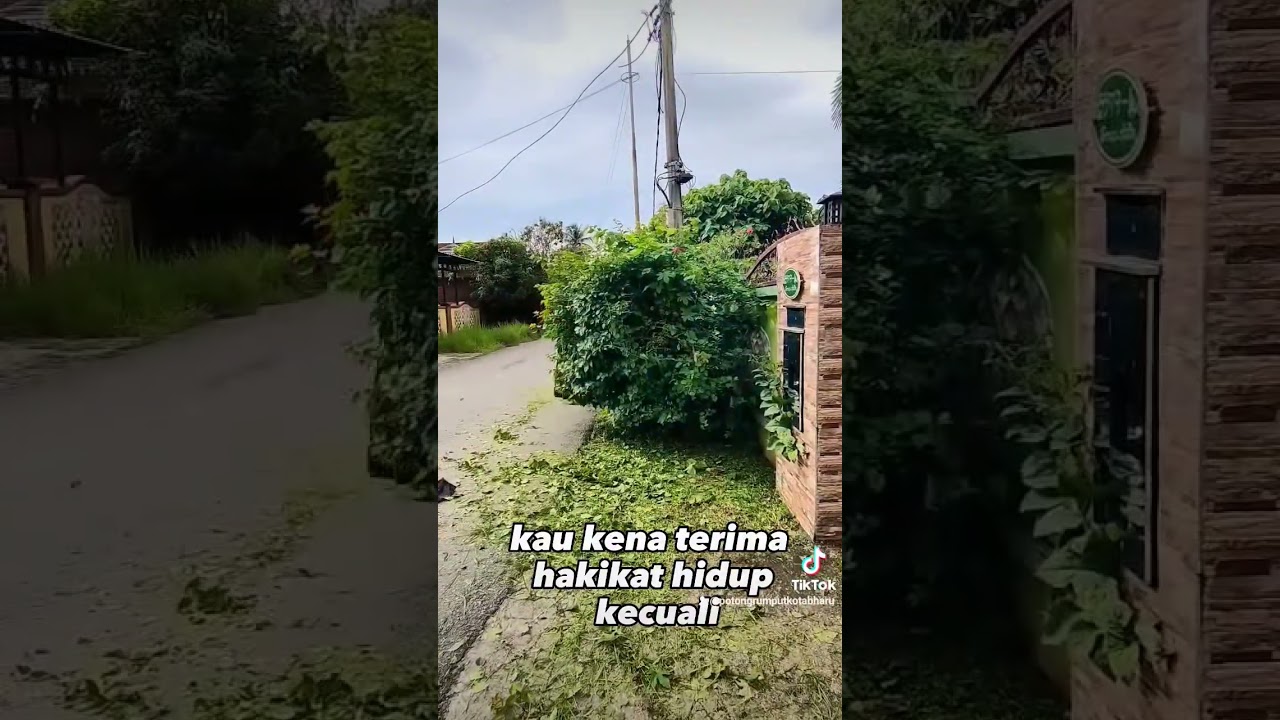 Taman Desa Telipot #potongrumputkotabharu #trimmingovergrownhedges #overgrown #oddlysatisfying