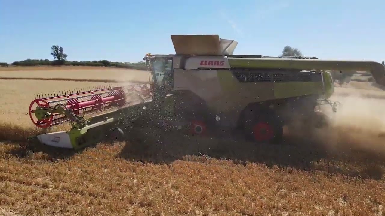 Harvest 22