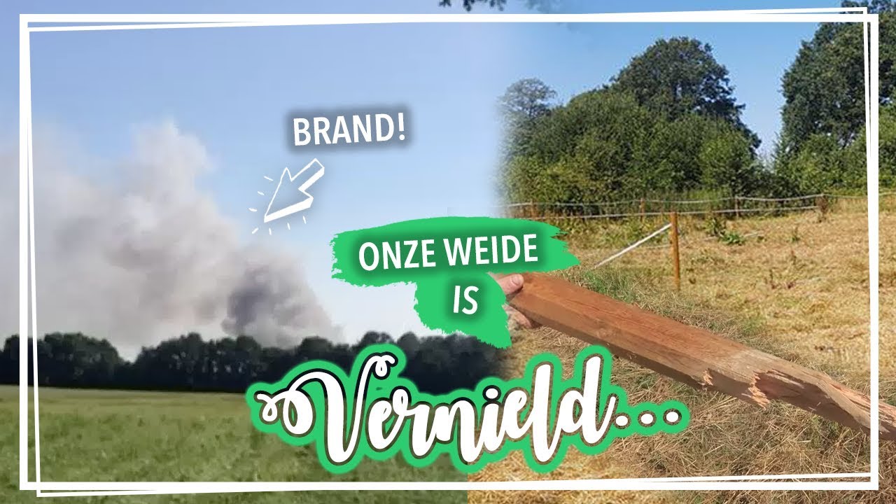 Brand dichtbij stal... & onze weide is vernield! VLOG#68