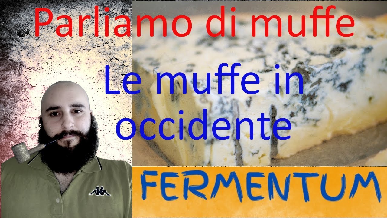 Parliamo di muffe- C'&egrave; del salame sotto la mia muffa