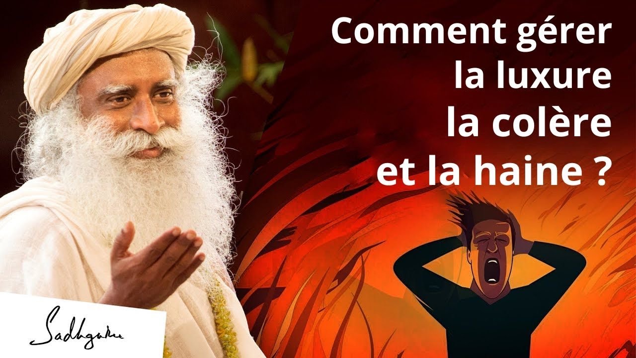 Comment gérer le désir, la colère et la haine ? #emotions